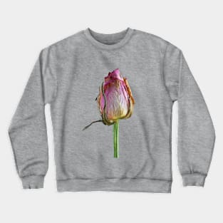 Old Rose on Paper Crewneck Sweatshirt